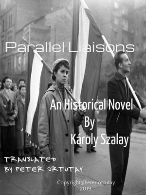 cover image of Parallel Liaisons